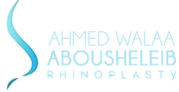 Dr. Ahmed Walaa Abousheleib